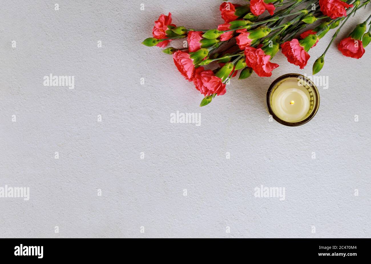 Red carnations and burning candle on white background. Stock Photo