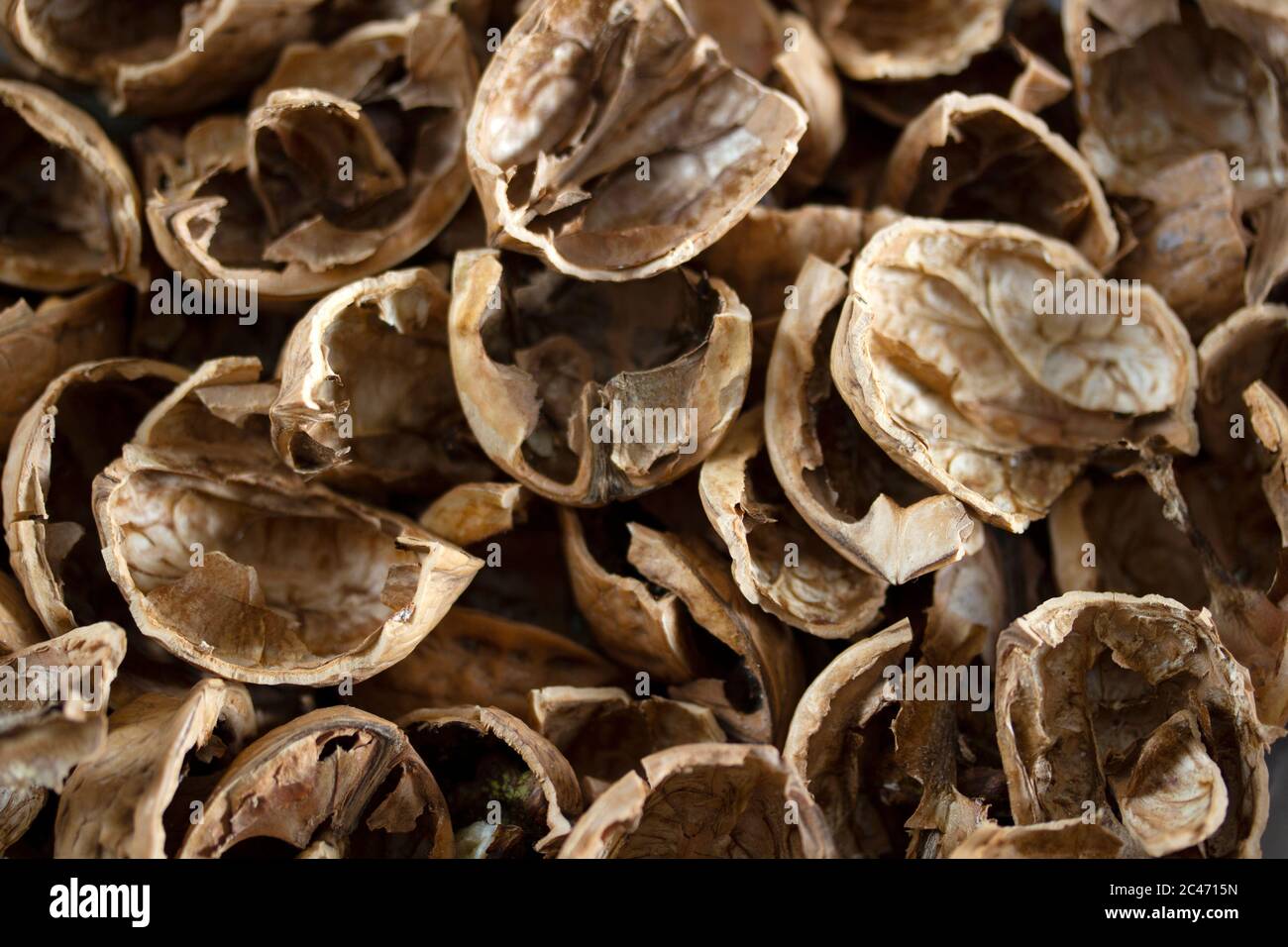 Texture, empty shell from a walnut Stock Photo - Alamy
