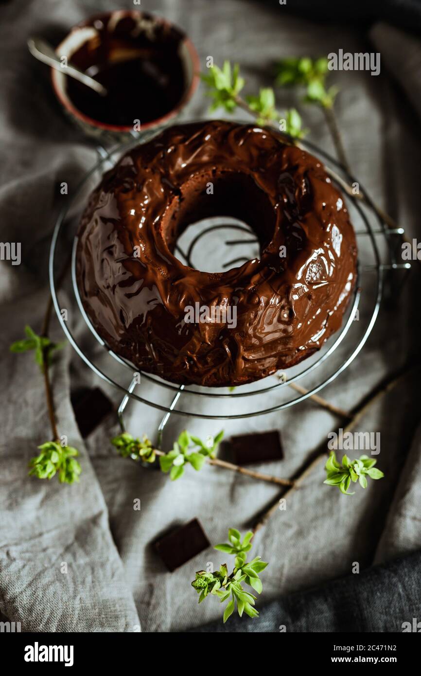 https://c8.alamy.com/comp/2C471N2/chocolate-bundt-cake-spring-still-life-cake-covered-with-chocolate-icing-young-green-leaves-around-a-bowl-with-melted-frosting-grey-and-beige-line-2C471N2.jpg