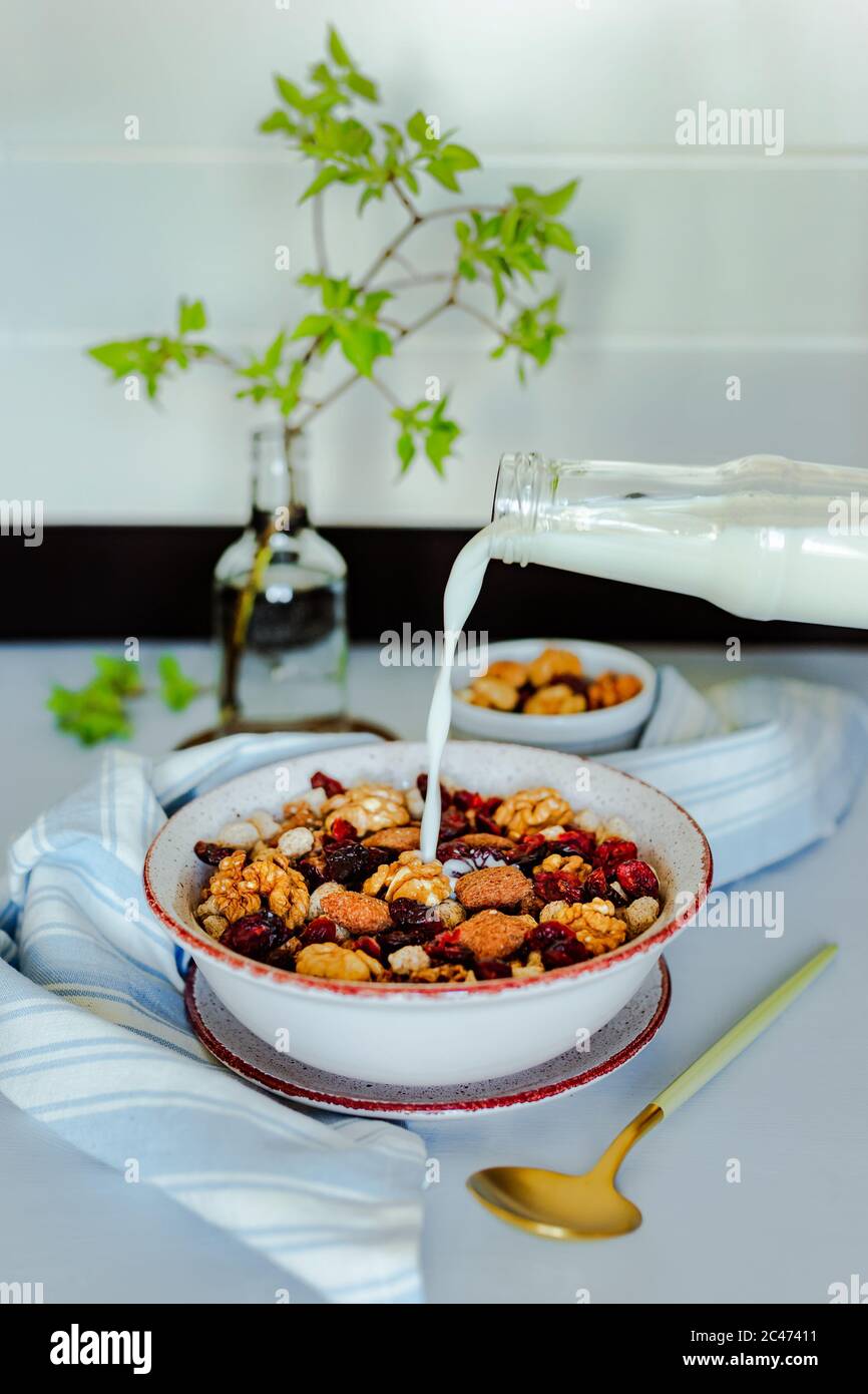 https://c8.alamy.com/comp/2C47411/pouring-milk-into-a-granola-bowl-with-walnuts-chocolate-and-dried-cranberries-small-bowl-with-nuts-spoon-towel-green-branch-on-the-background-a-2C47411.jpg