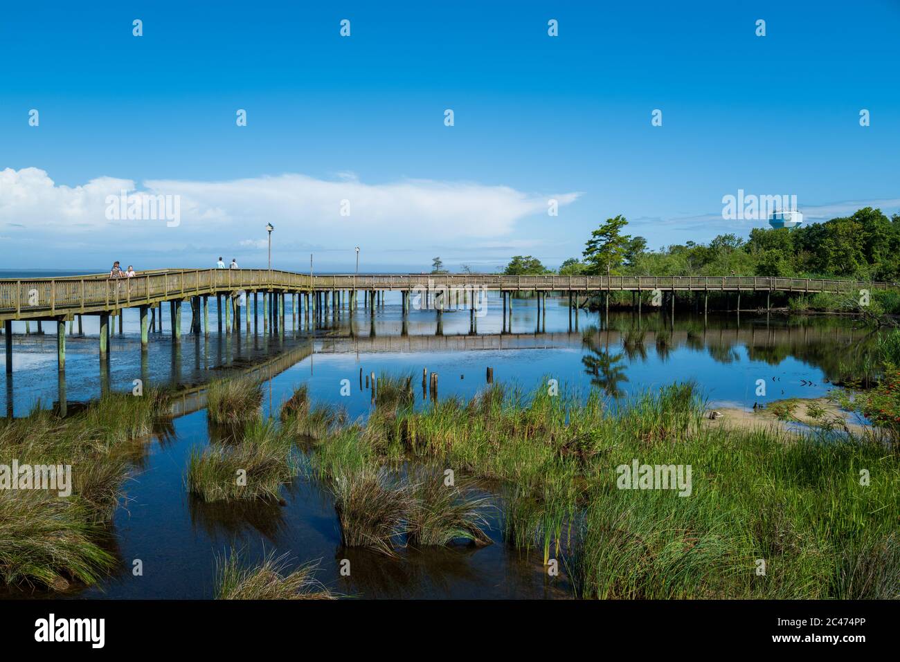 Wide wooden boardwalk hires stock photography and images Alamy