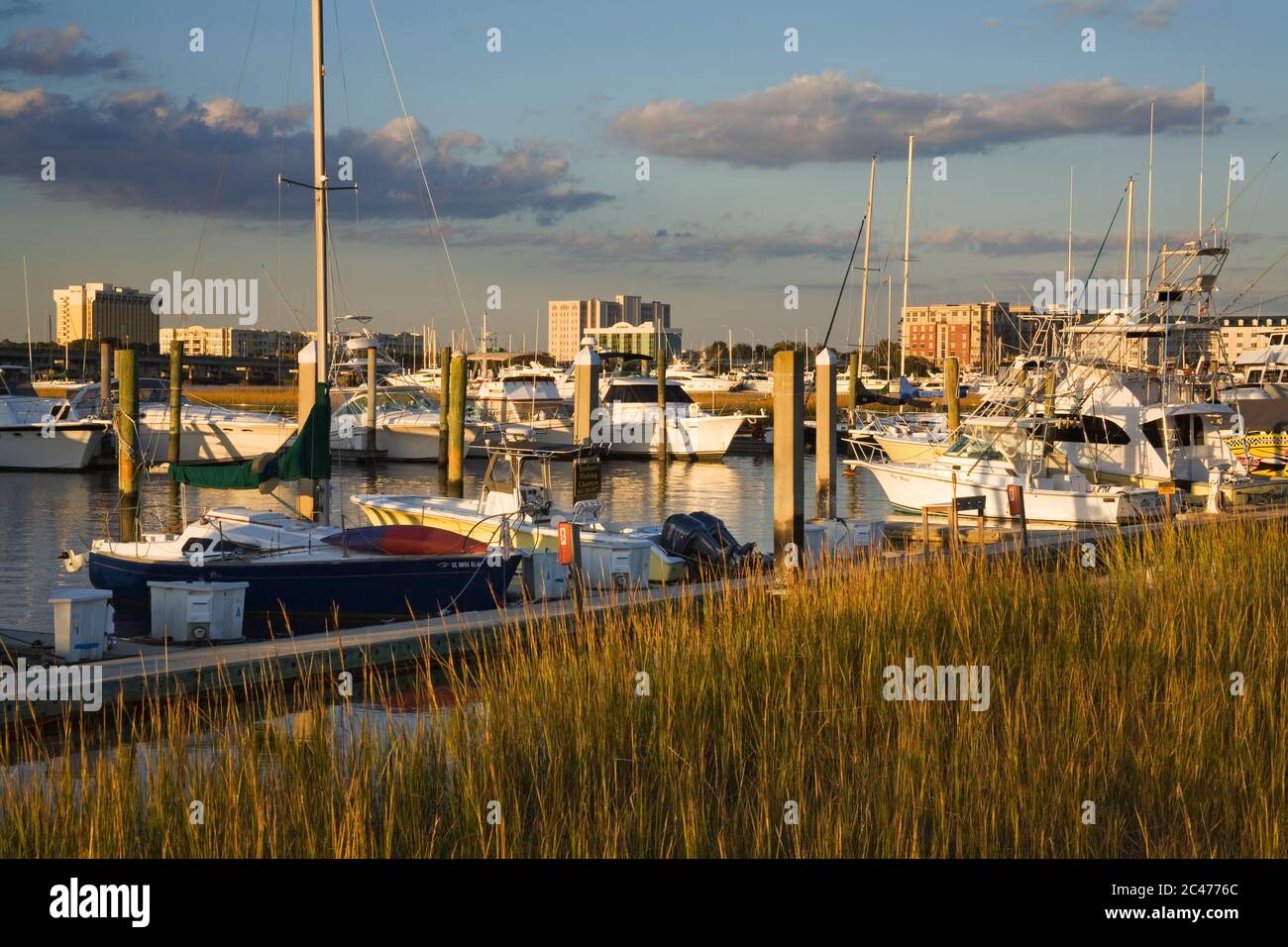 Ripley Point Boat Marina & Ashley River, Charleston, South Carolina
