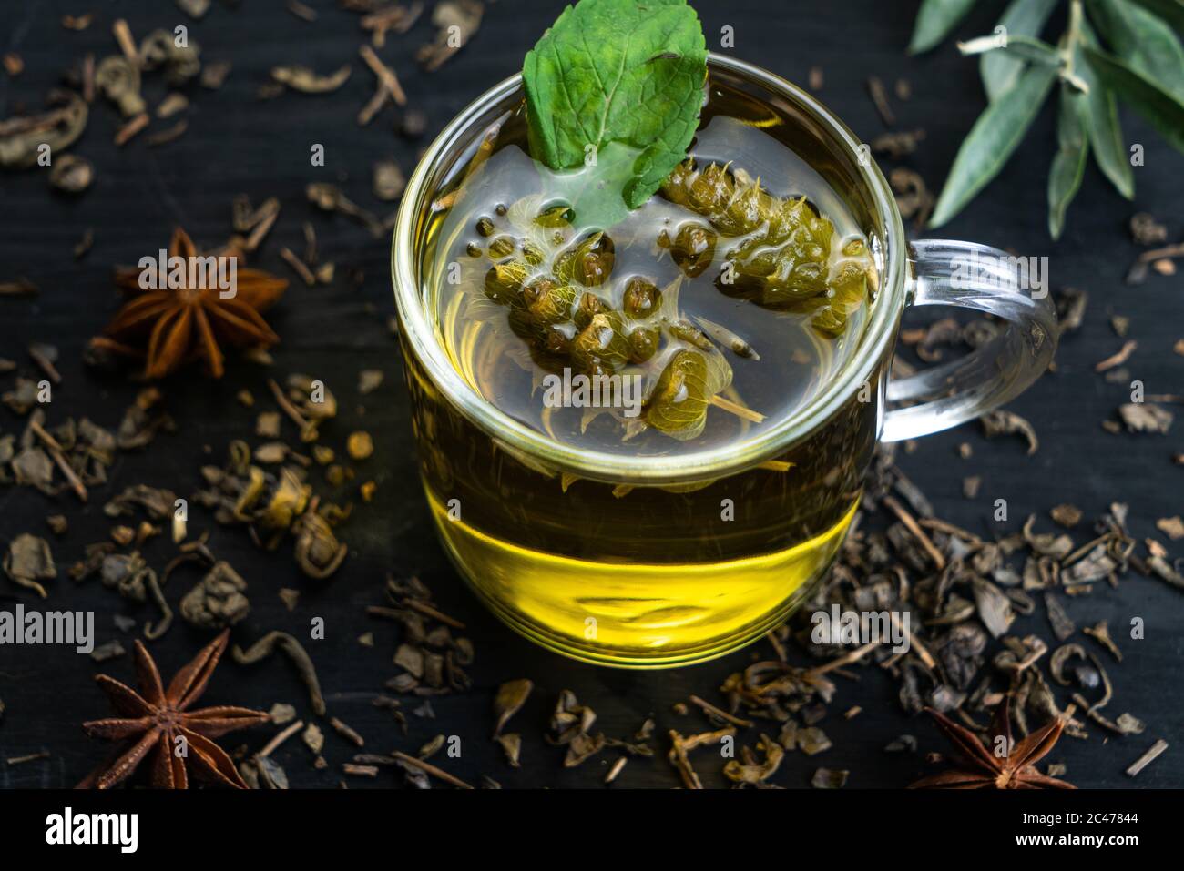 Cup of tea. Herb tea Stock Photo
