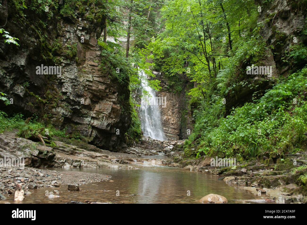 Waterfall in the mountains and green trees Stock Photo - Alamy