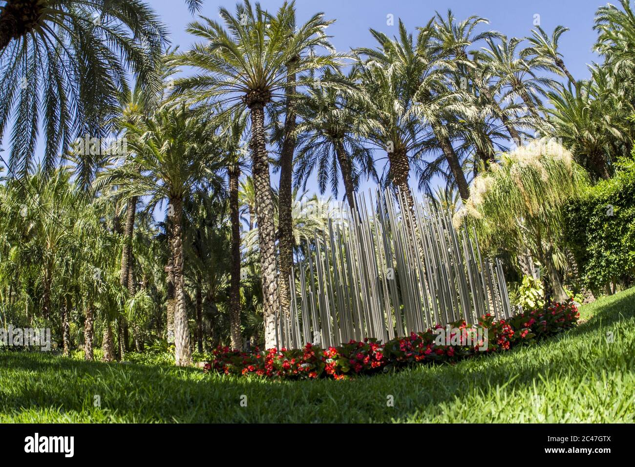 Beautiful scenery of a park with a lot of palm trees and flowers Stock ...