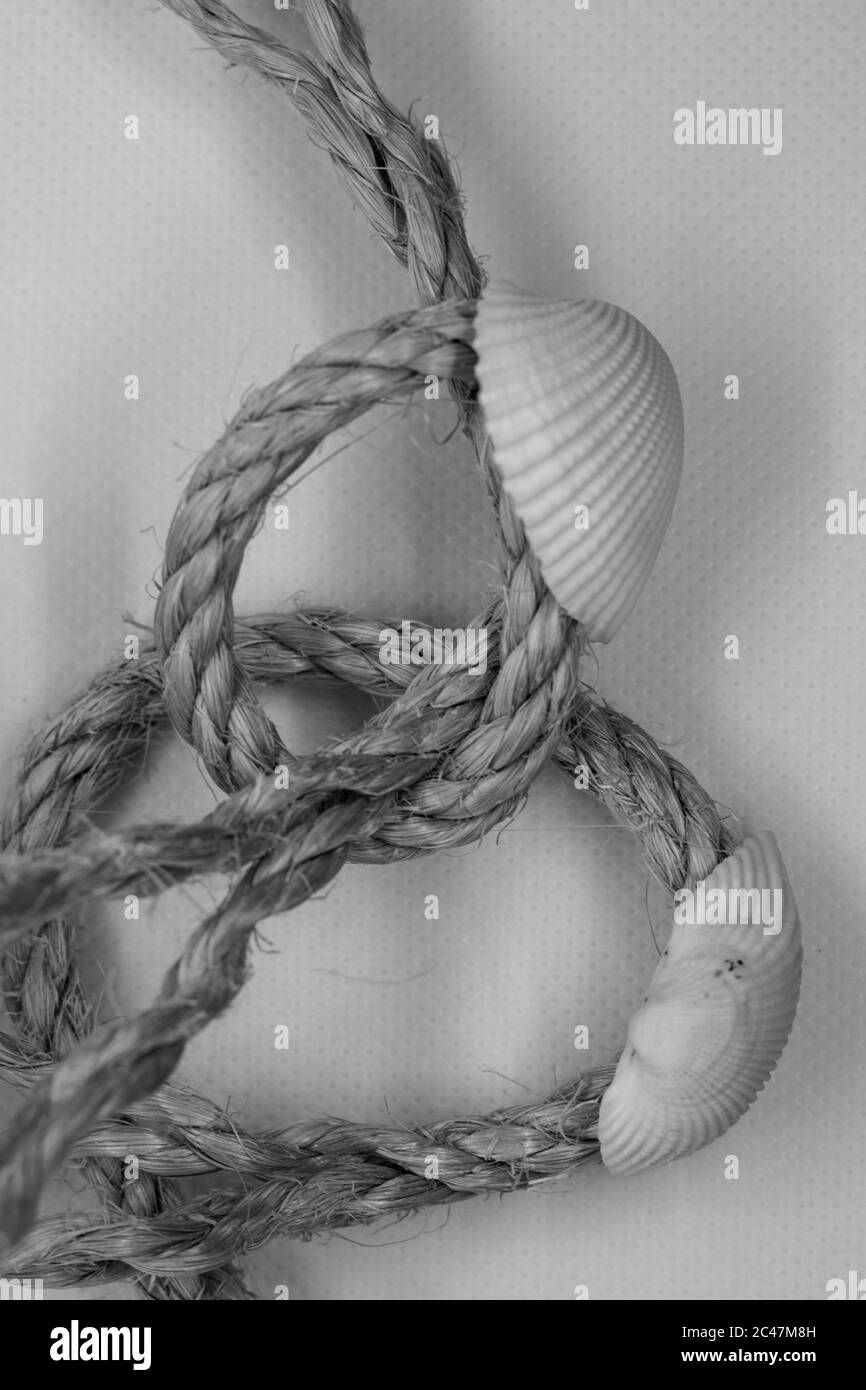 Vertical shot of a rope decorated with shells isolated on a textured ...