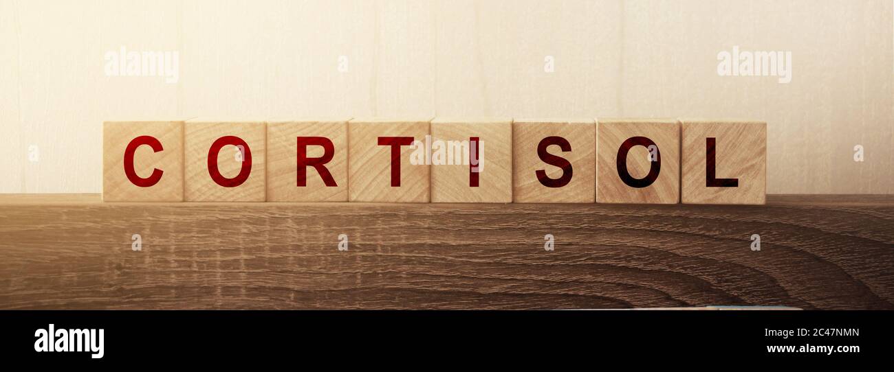 Cortisol word written on wooden blocks. Healthcare m edical concept Stock Photo