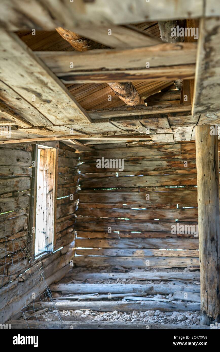 Interior of a ghost town house at Independence, Colorado, on the ...