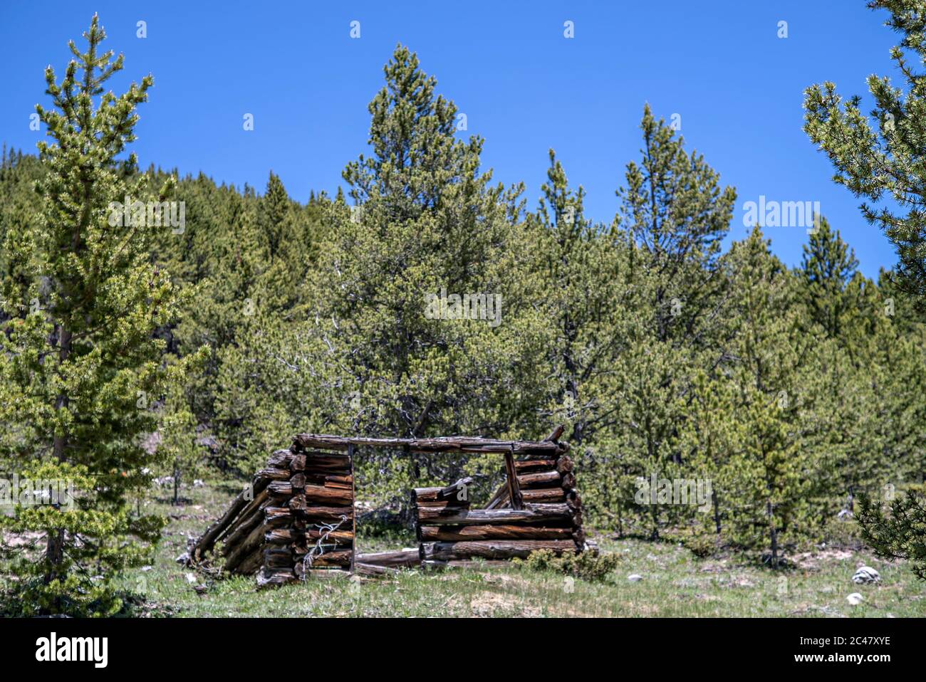 Abandoned ghost town ruins in the former mining settlement of Independence, Colorado, on Independence Pass from Aspen to Twin Lakes Stock Photo