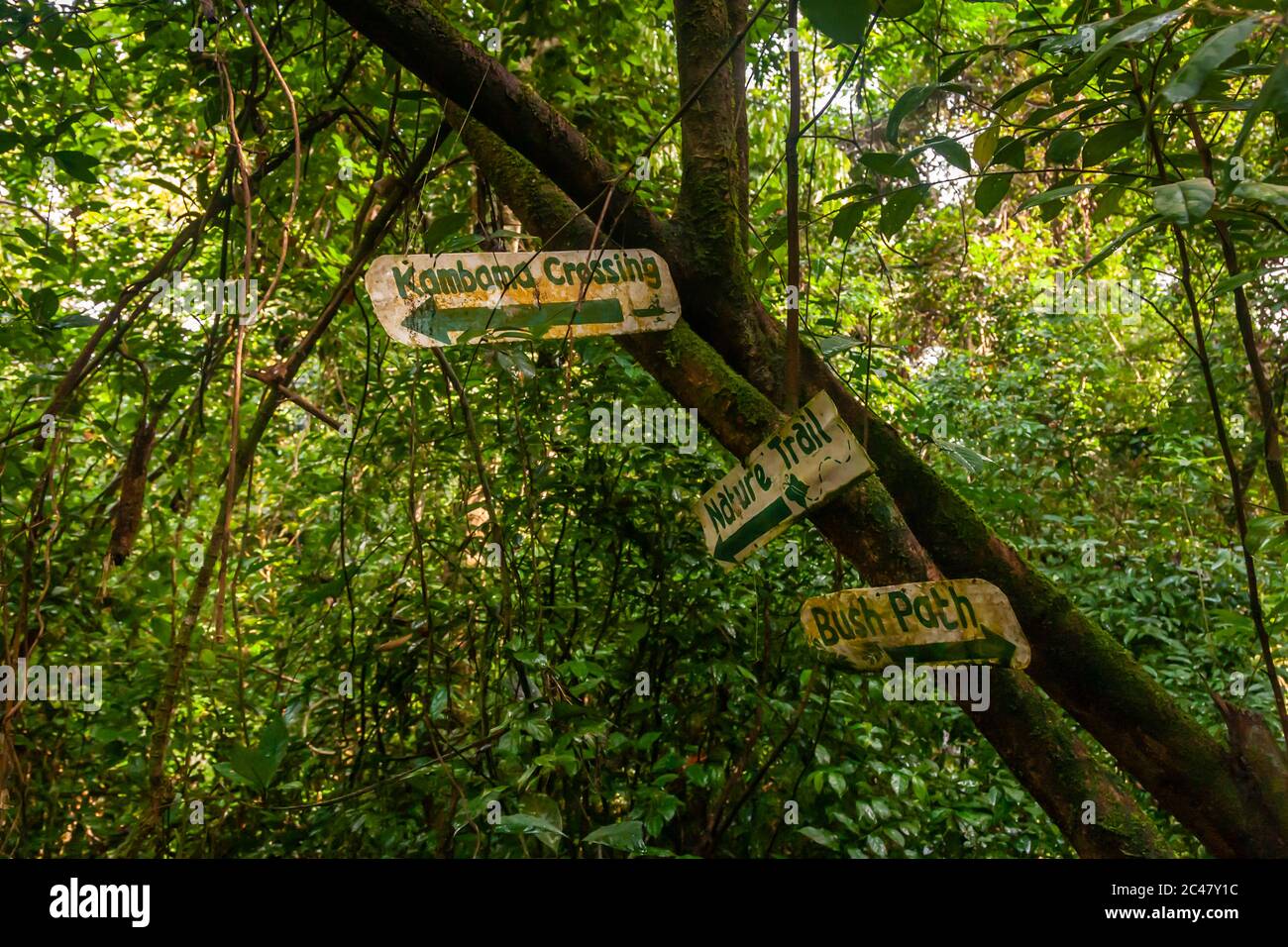 Kambama Crossing, Nature Trail, Bush Path. Directions Signs in Sierra Leone Bush Stock Photo