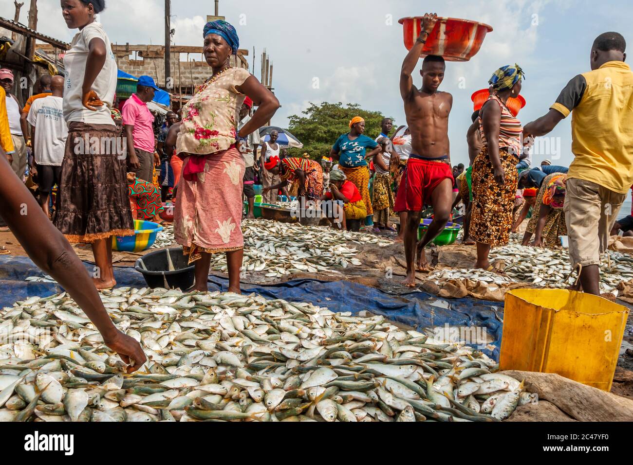 Fishermen in Tombo Harbour, Sierra Leone Stock Photo