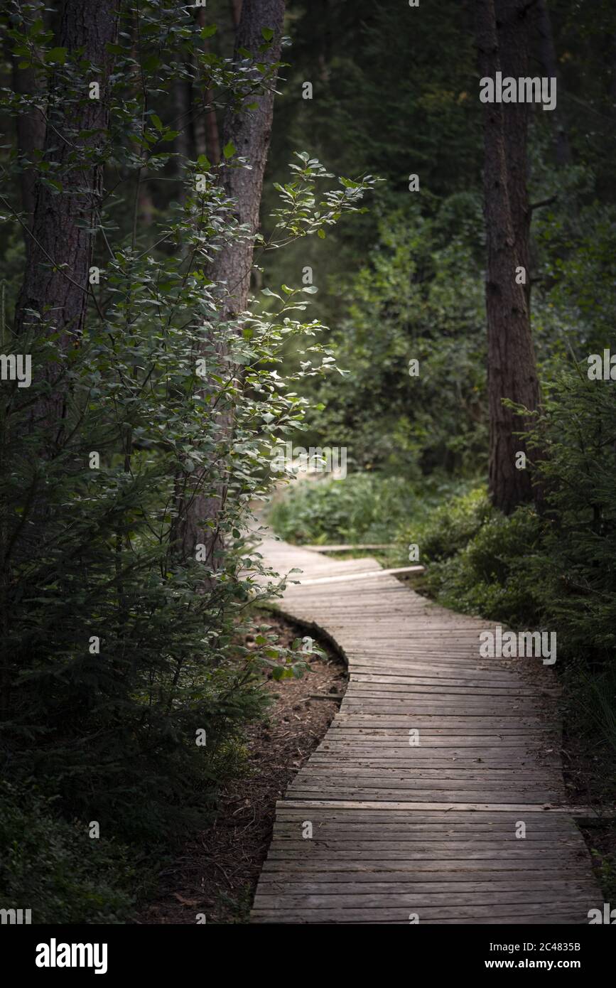Vertical shot walkway through hi-res stock photography and images - Alamy