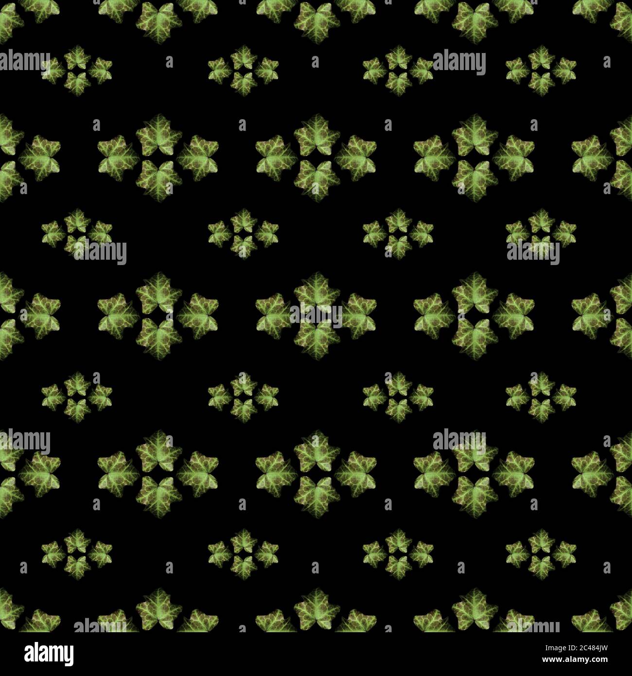 Leaves photo motif seamless pattern design in green and white ...