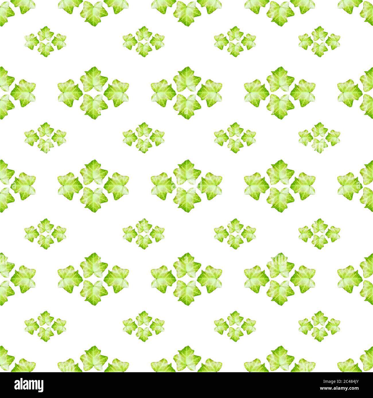 Leaves photo motif seamless pattern design in green and white ...