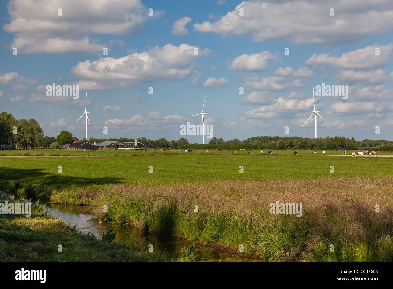 Dutch farm landscape with modern wind turbines under the blue sky and ...