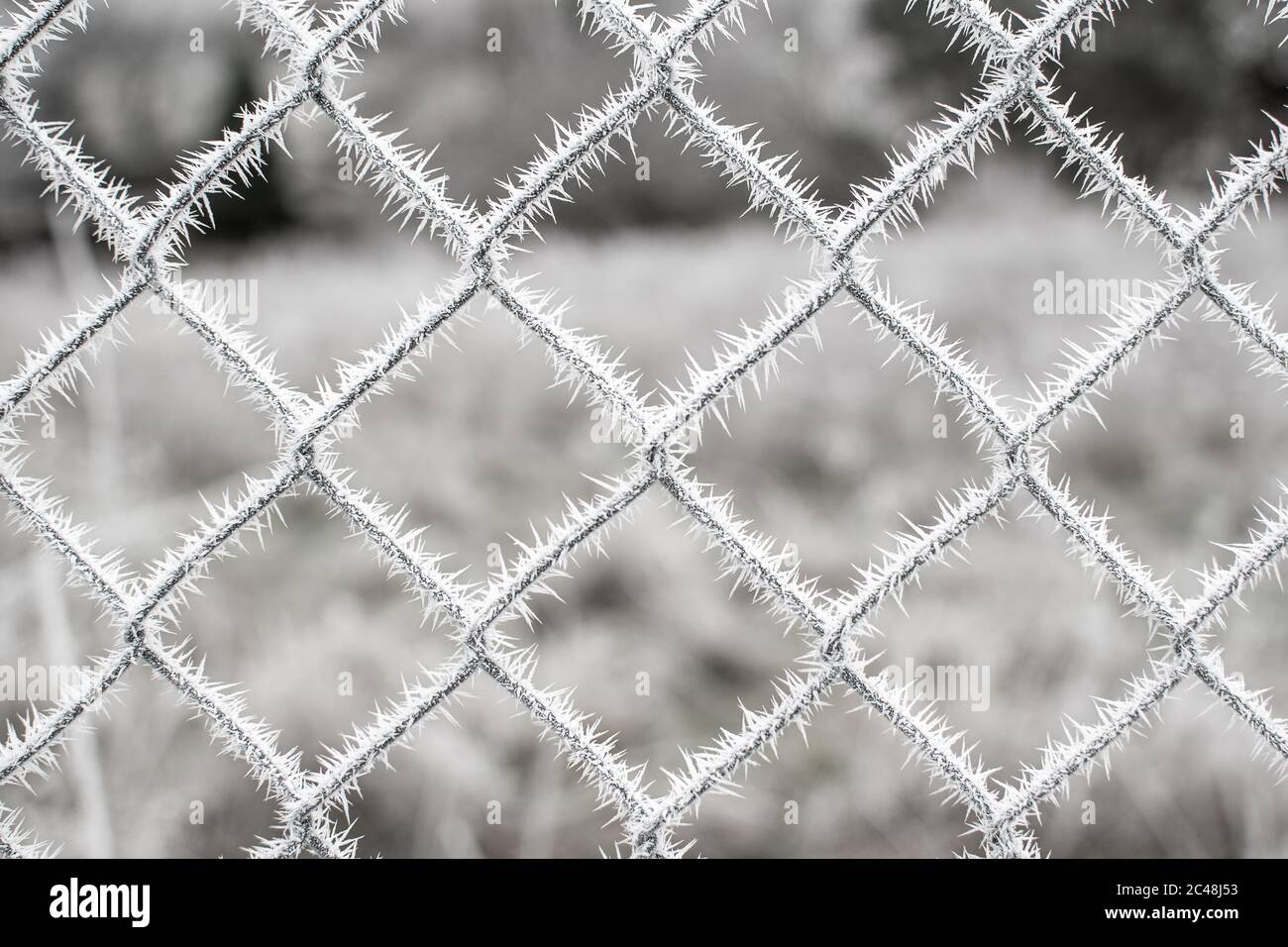 Frozen fence close-up covered by snow and ice artifacts. Winter photography Stock Photo