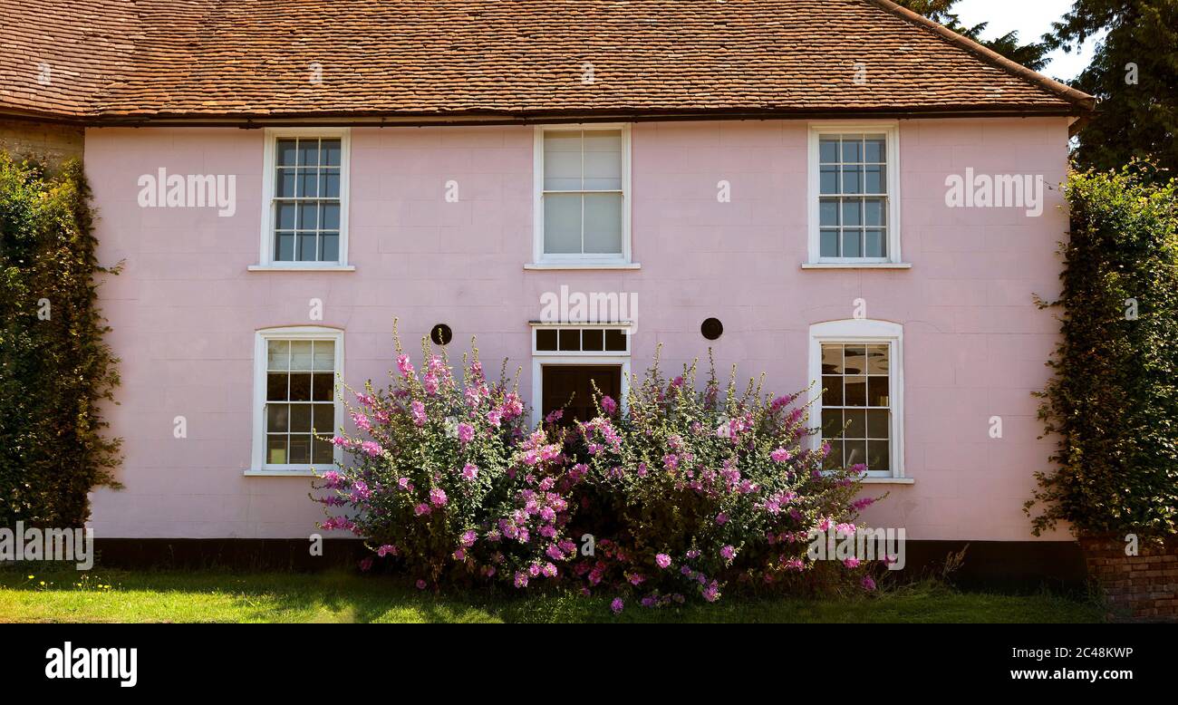Common mallow, Malva sylvestris, pink flowers ouside a pink house. Stock Photo