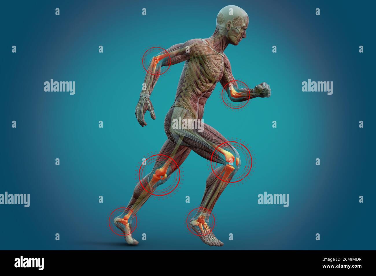 Joint pain in humans, anatomical vision. 3d illustration. Stock Photo