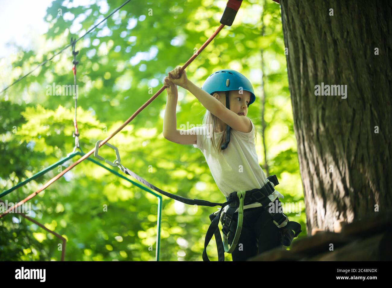 Girl Standing With Rope Rope adventure - a little girl standing on high by the tree and holding ...