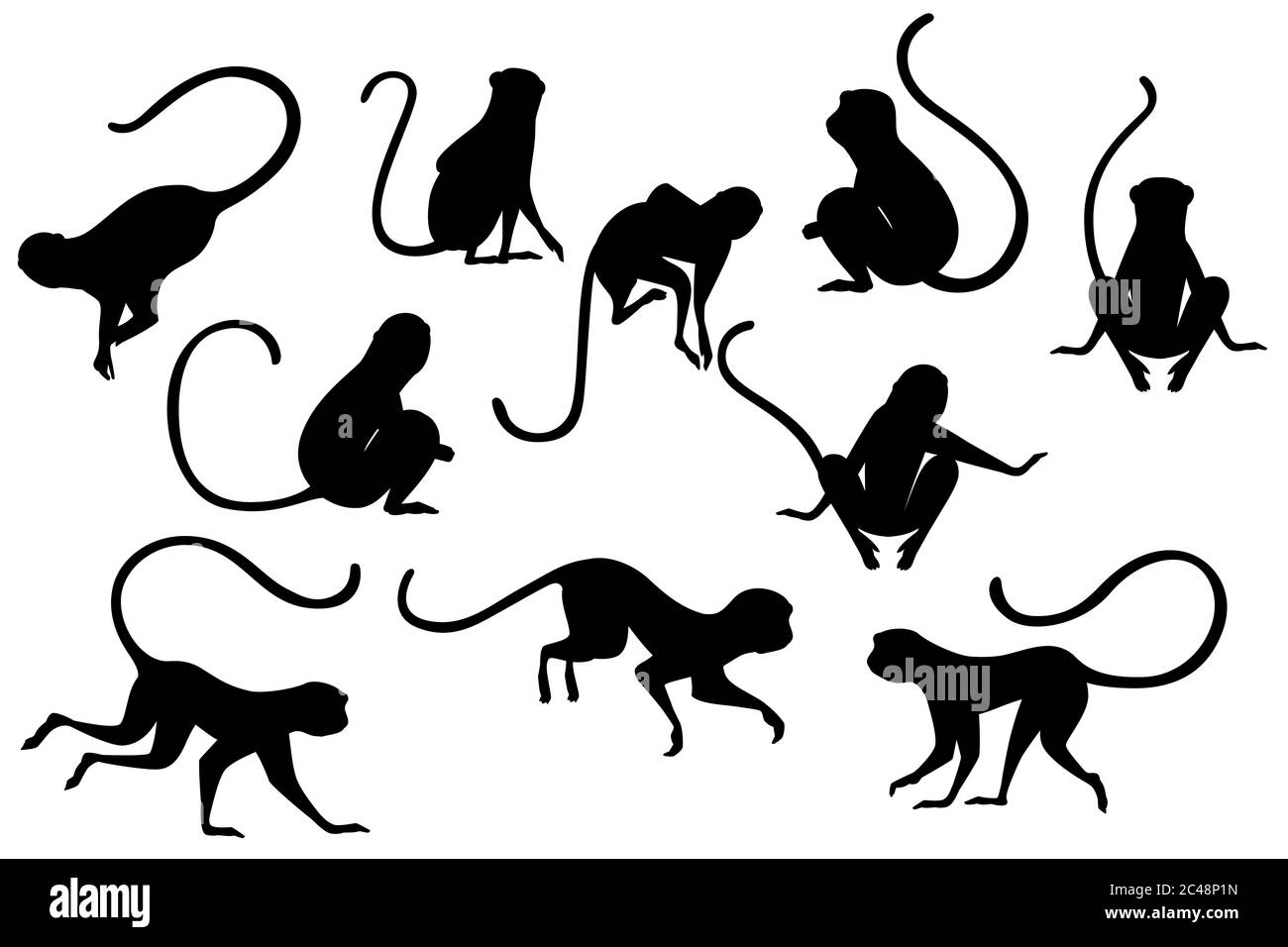 Black Silhouette Set Of Cute Vervet Monkey Cartoon Animal Design Flat Vector Illustration Isolated On White Background Stock Vector Image Art Alamy Black Silhouette Set Of Cute Vervet Monkey Cartoon Animal Design Flat Vector Illustration Isolated On White Background Stock Vector Image Art Alamy
