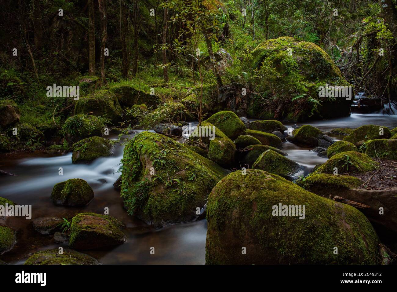 Clear water flowing through a rocky river in a forest Stock Photo - Alamy