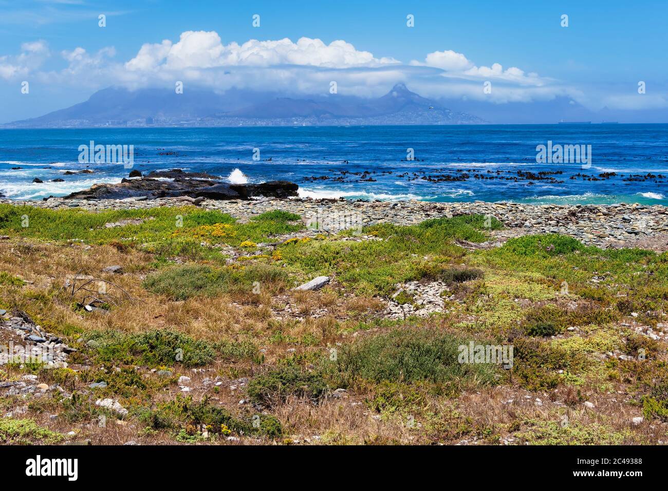 From the rocky shore of Robben Island to a distant cloud covered Cape Town and Table Mountain Stock Photo