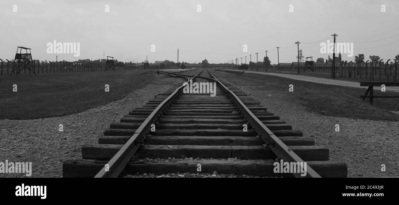 Greyscale shot of the rail tracks in a field at daylight - nice for backgrounds Stock Photo