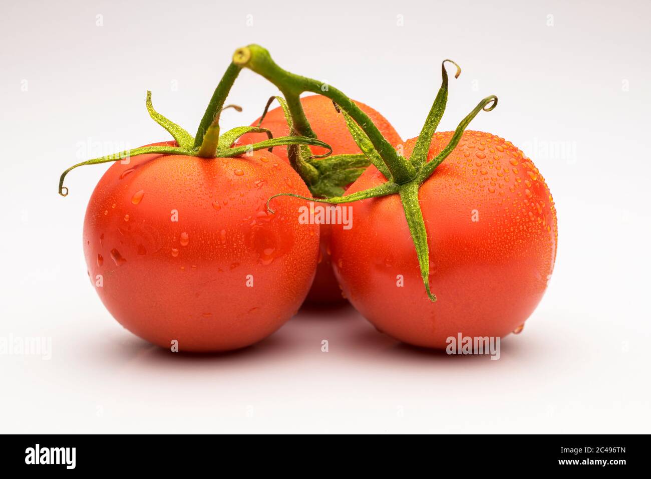 Food, June 25. Die Tomate gehoert zur Familie der Nachtschattengewaechse und ist nahe mit der Kartoffel verwandt. dteil der Tomate ist Wasser (etwa 95 Stock Photo