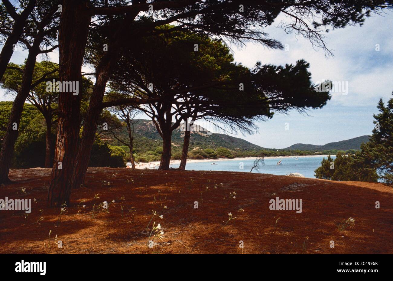 Uncluttered beach scene hi-res stock photography and images - Alamy