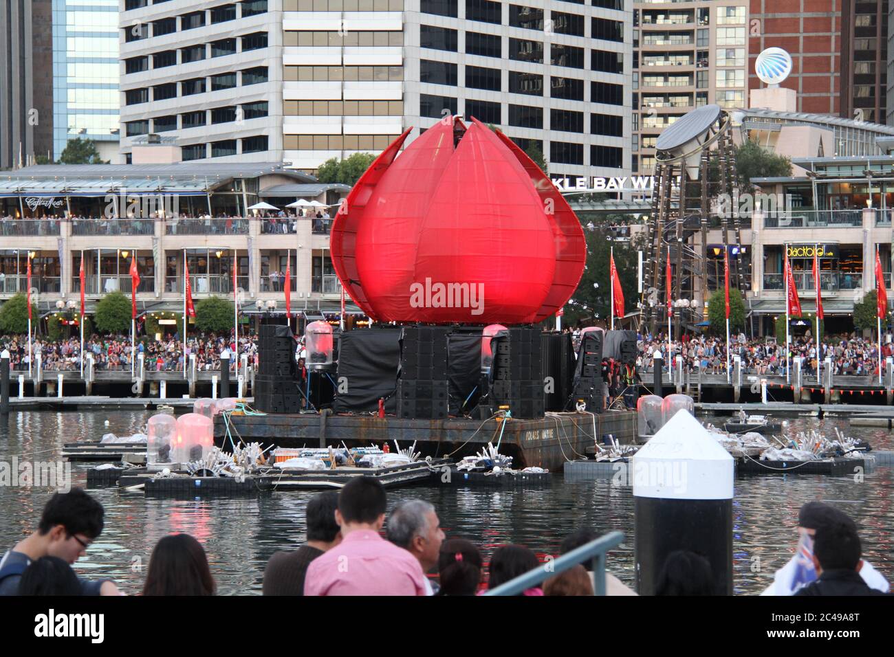 What looks slightly like  a giant version of the floral emblem of NSW, the Waratah (Telopea speciosissima) can be seen in Darling Harbour on Australia Stock Photo