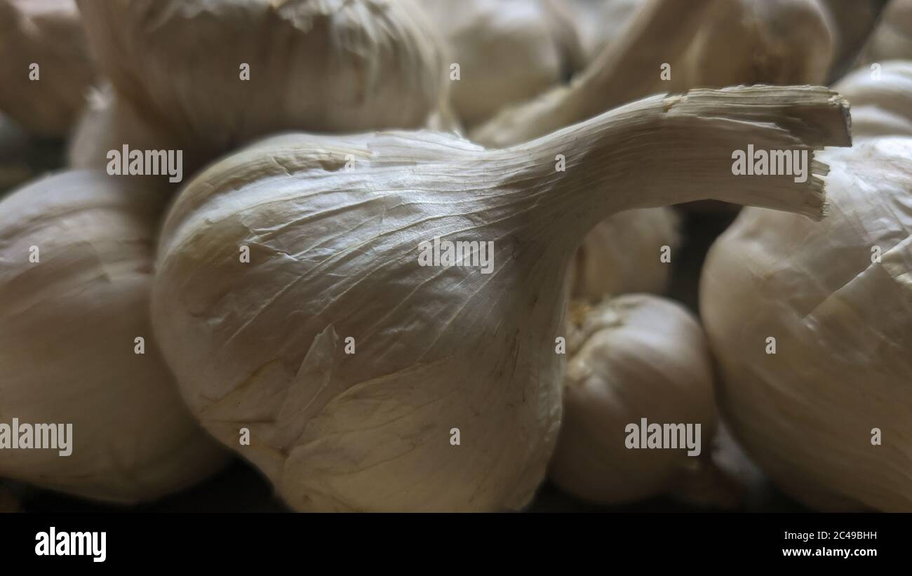 Garlic spice flat color hi-res stock photography and images - Alamy