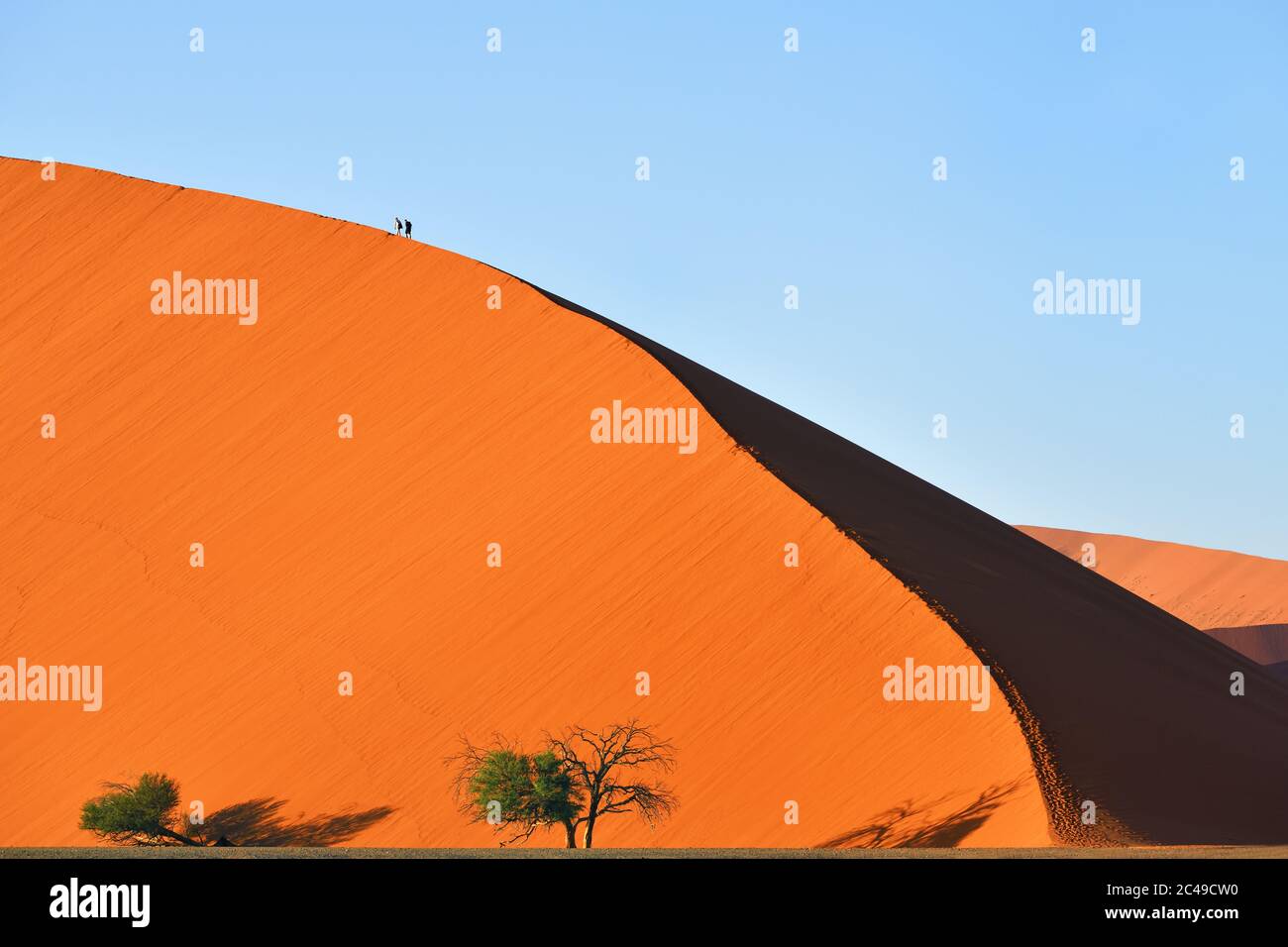 Hiker sossusvlei namib naukluft national park hi-res stock photography ...