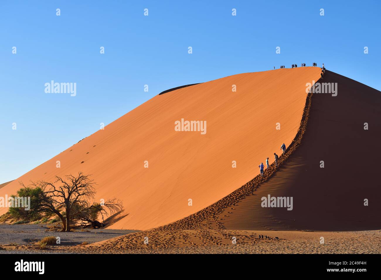 Girl climbing dune in desert hi-res stock photography and images - Alamy
