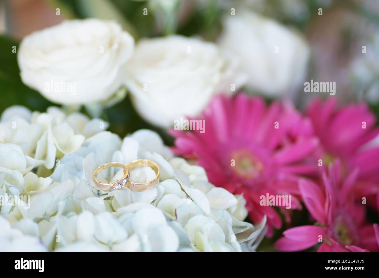 A photo of two wedding rings lay on white beautiful flower, blurred ...