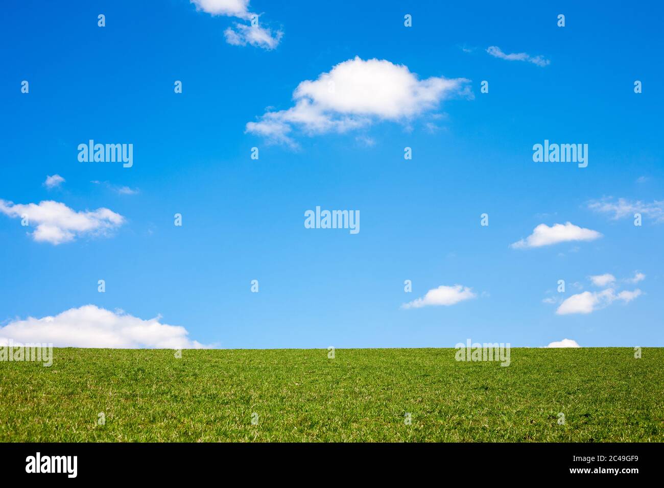 Green grass and blue sky with clouds for backgrounds or apps Stock ...