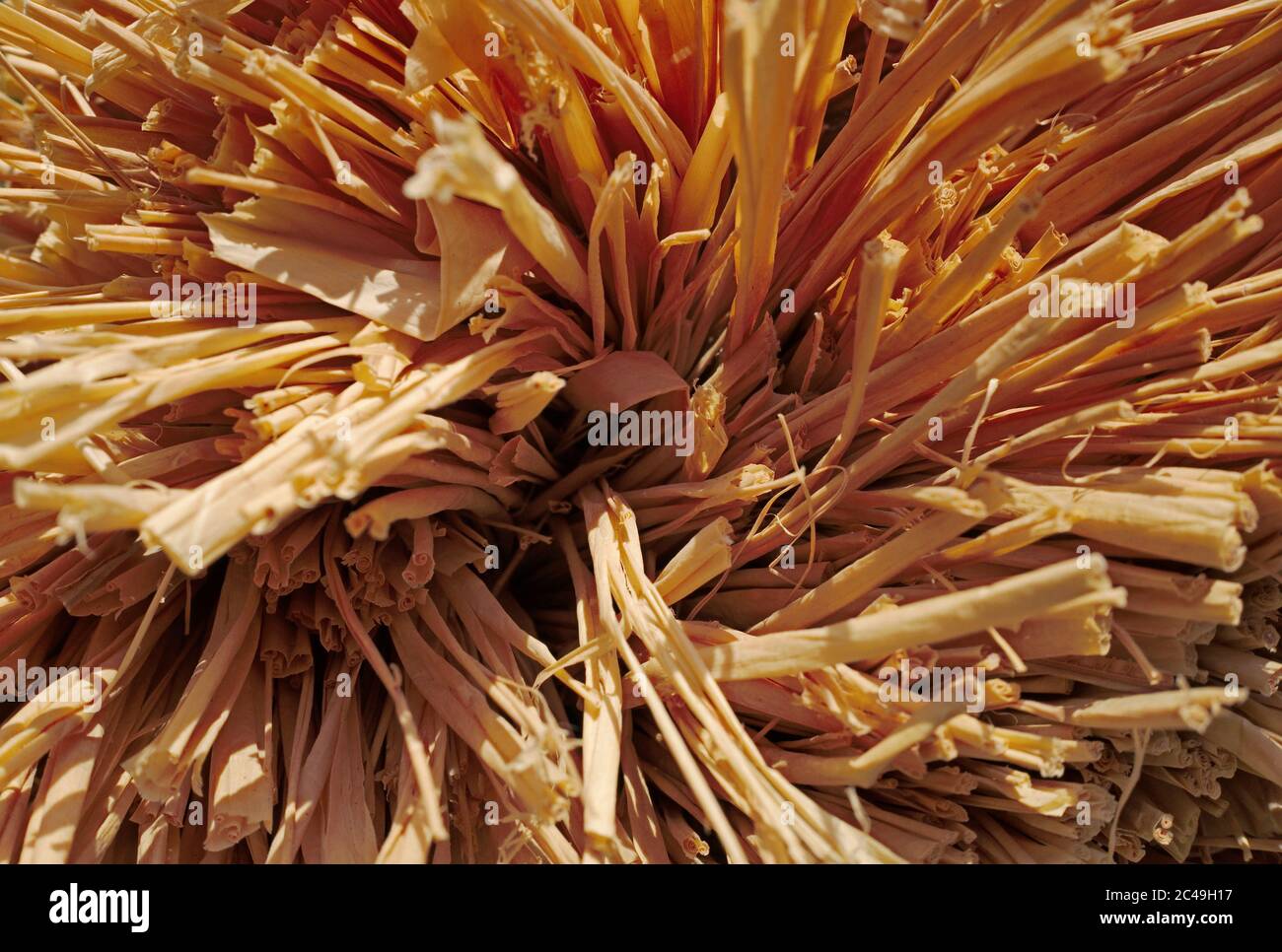 Tangled rafia palm fibers texture background Stock Photo