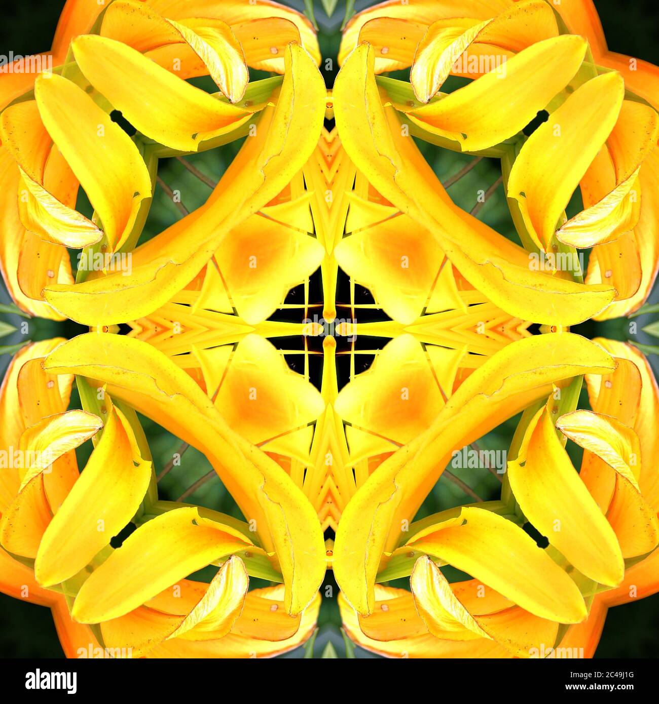 Seamless symmetrical pattern abstract banana skin texture Stock Photo