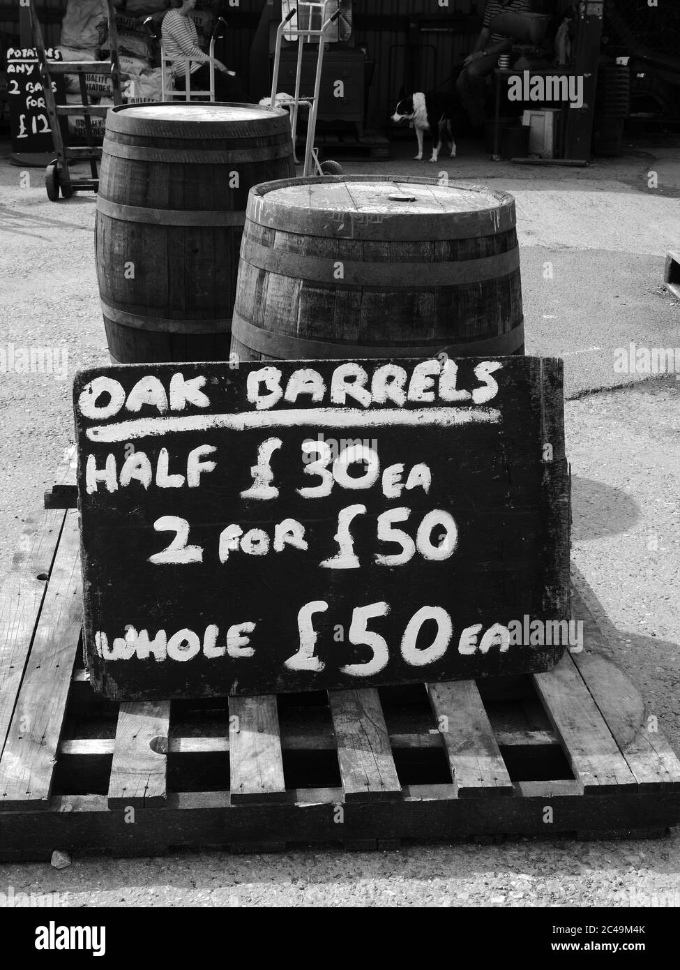 Oak Barrels for sale, Somerset UK Stock Photo Alamy