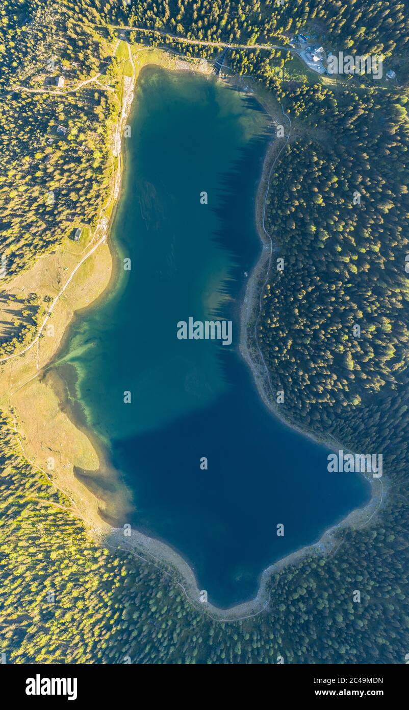 Aerial view of lake and forest from above. Valtellina, Italian Alps ...