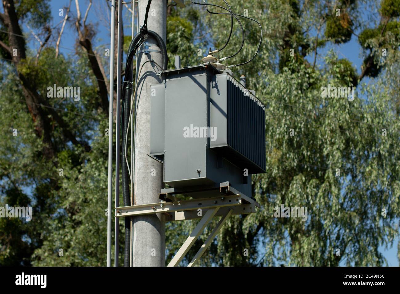 electrical panel on pole in the forest Stock Photo - Alamy