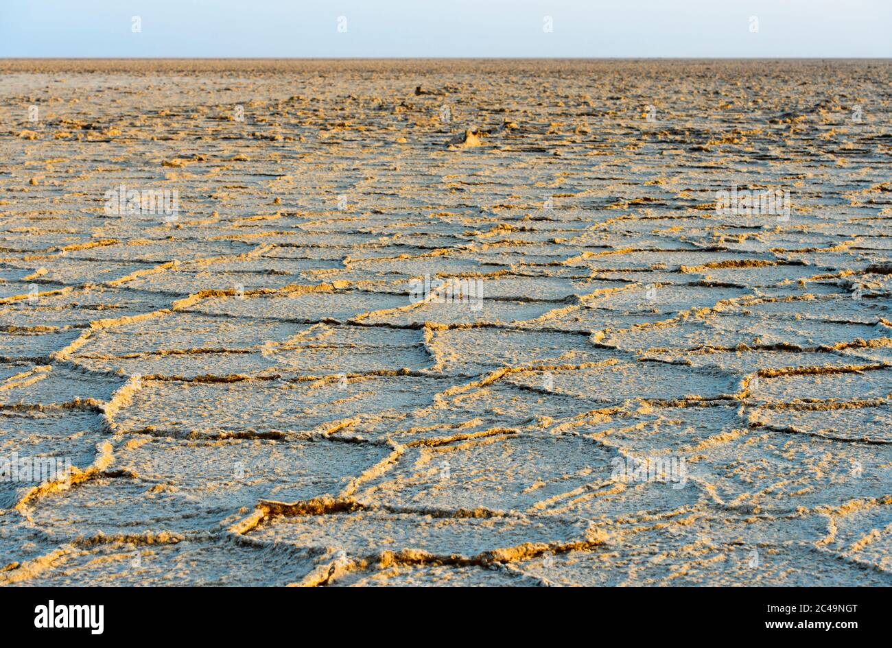 Honeycomb-shaped rock salt deposits on the Assale Salt Lake, Hamadela, Danakil Depression, Afar Triangle, Ethiopia Stock Photo