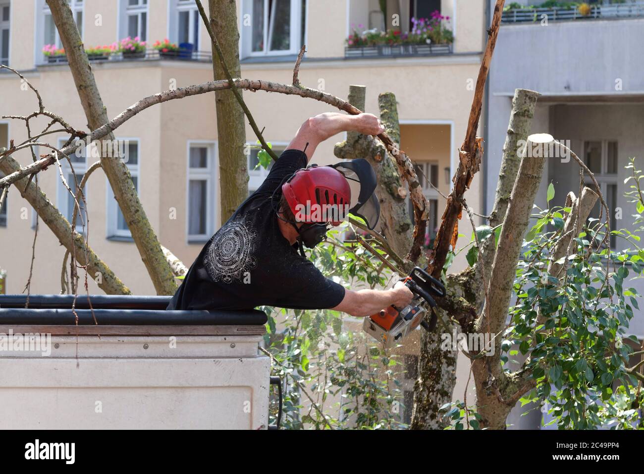 Trees are cut in Berlin Stock Photo Alamy