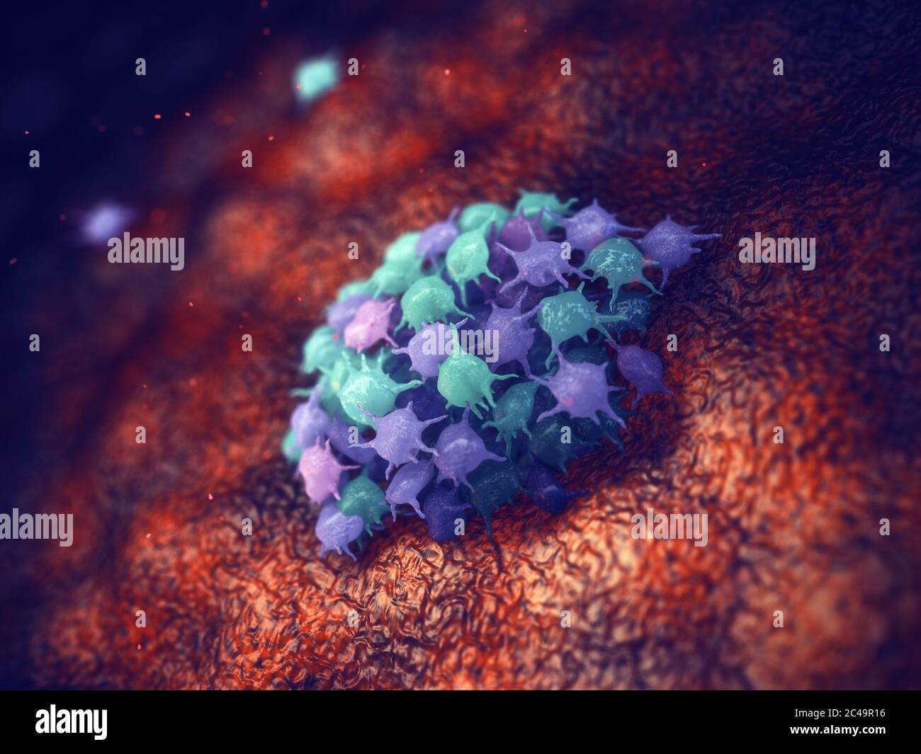 Thrombocytes forming a blood clot, The platelets are blood cells responsible for fixing blood vessel damage Stock Photo