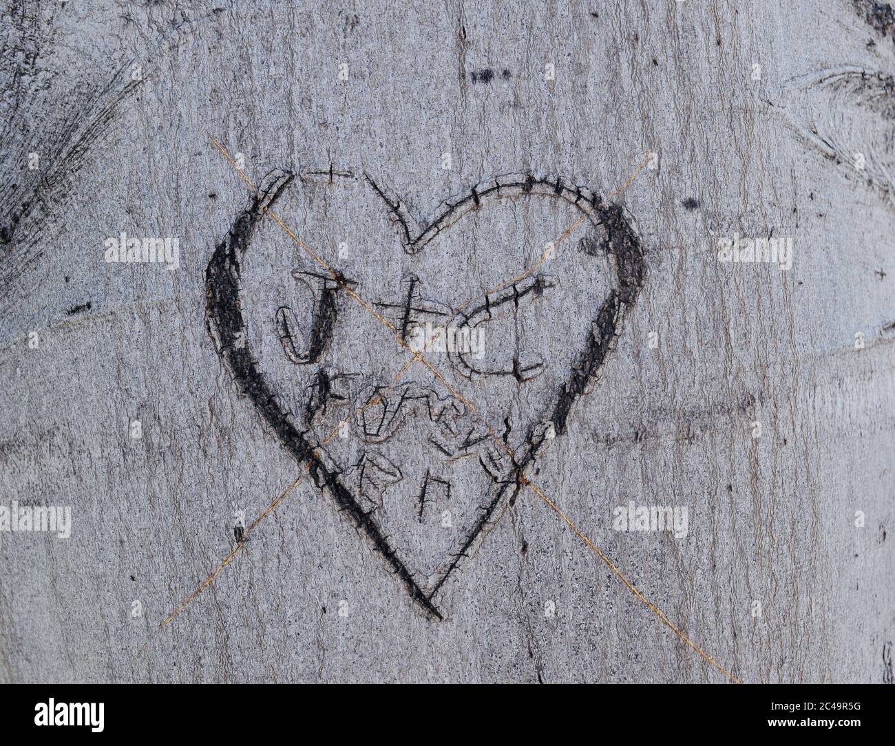 Heart shape carved on a tree trunk with initials Stock Photo