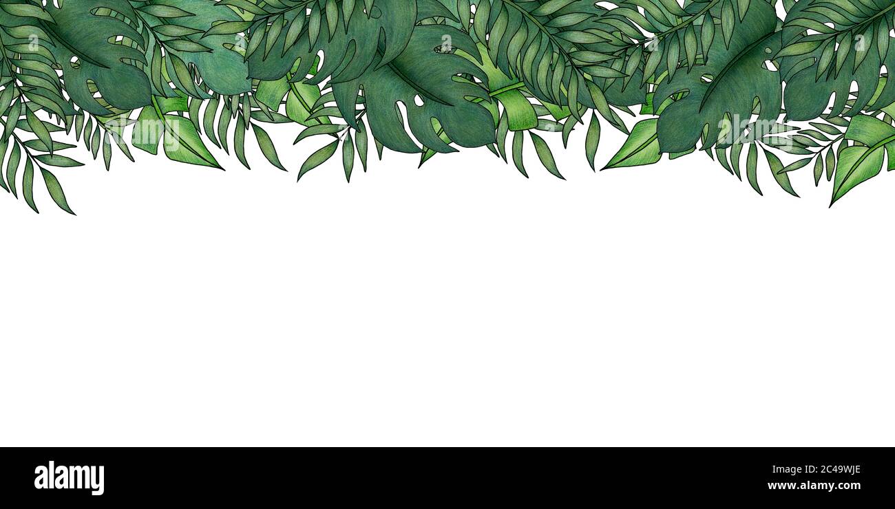 tropical banner background with exotic green leaves, tropical summer ...