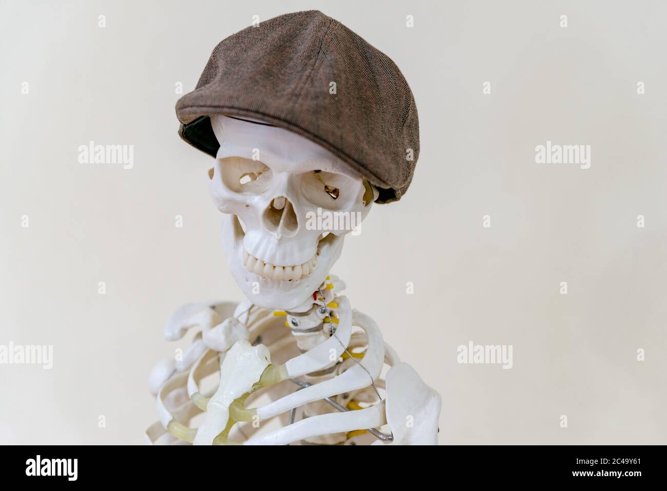 Skeleton with skull cap hi-res stock 