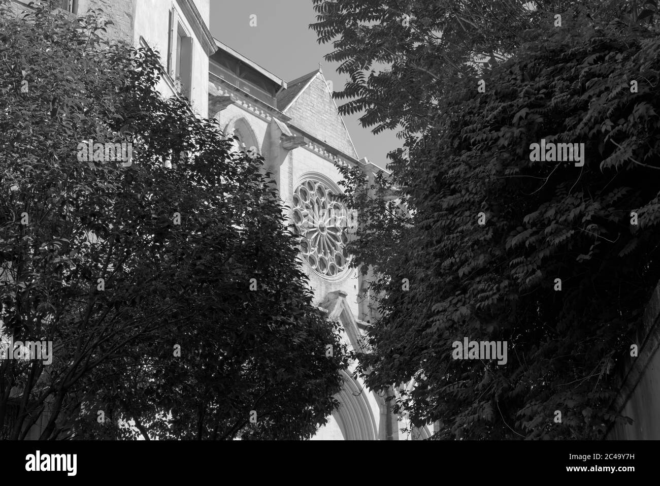 The neo-gothic church St. Roch was built in 19th century. It has a beautiful rose window at the main entrance. Big trees are framing it. Stock Photo