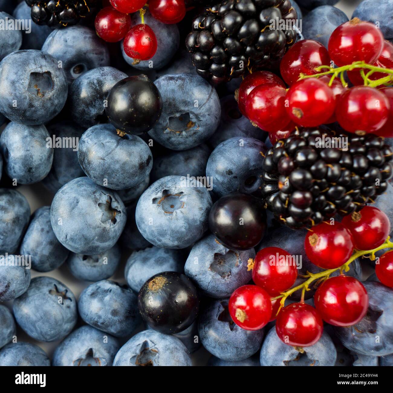 Mix berries and fruits. Ripe blackberries, blueberries, blackcurrants, red currants. Top view. Background berries and fruits. Various fresh summer fru Stock Photo