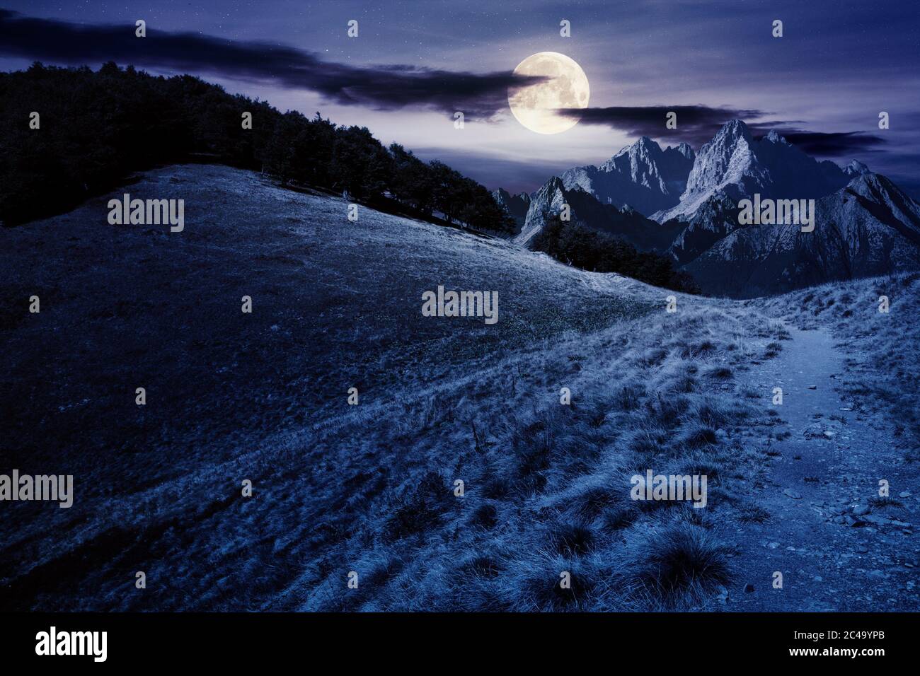 composite mountain landscape at night. path through meadow. distant tatra ridge in full moon light. beech forest on the hill. mystery and witchcraft c Stock Photo