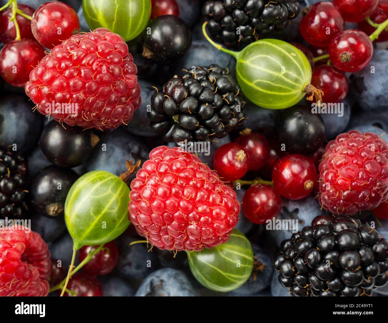 Mix berries and fruits. Ripe blackberries, blackcurrants, red currants